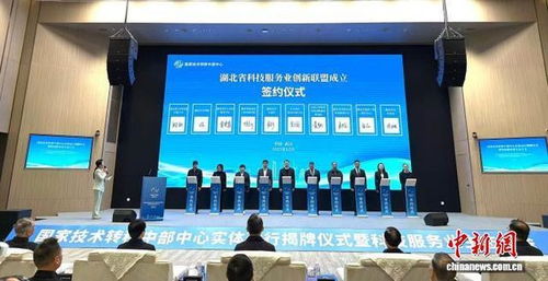 信息技術(shù)咨詢服務(wù)助力創(chuàng)新驅(qū)動(dòng)發(fā)展 國家技術(shù)轉(zhuǎn)移中部中心在武漢揭牌