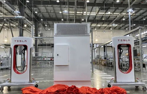 2021年新能源汽車(chē)市場(chǎng)展望 1月銷(xiāo)量翻倍增長(zhǎng)與電熔鎂生產(chǎn)的潛在影響